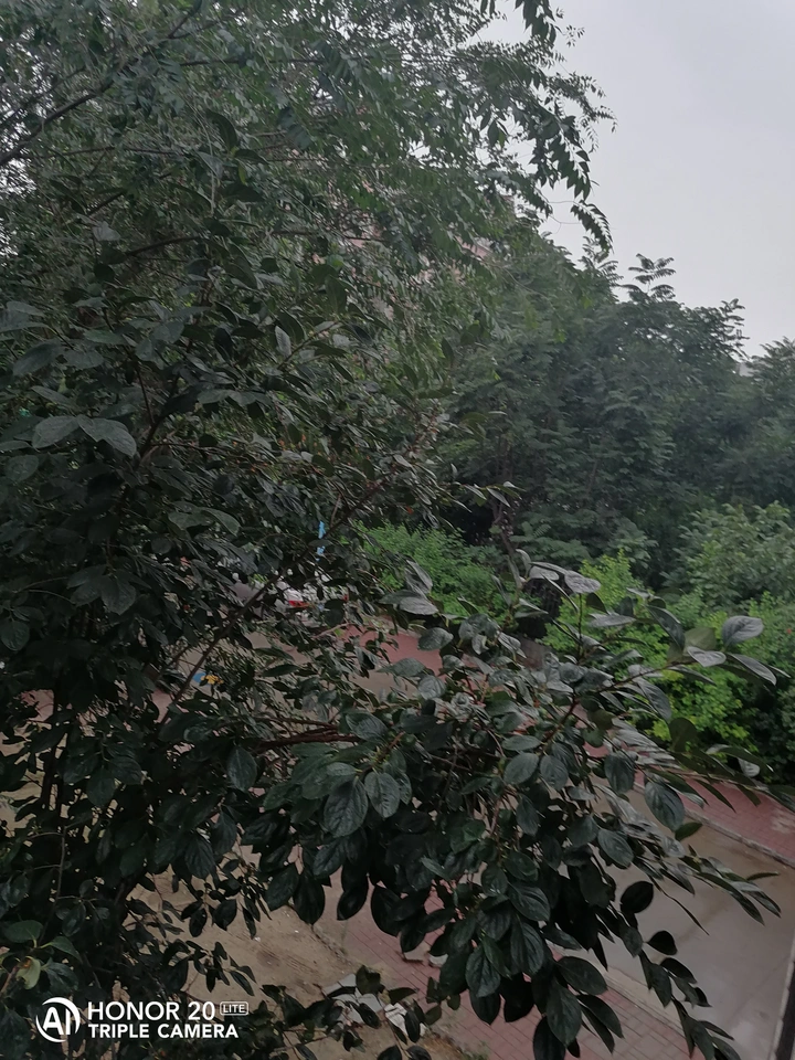 雨天