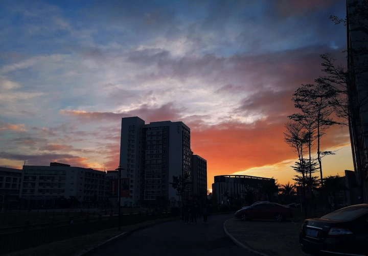 夕阳•剪影