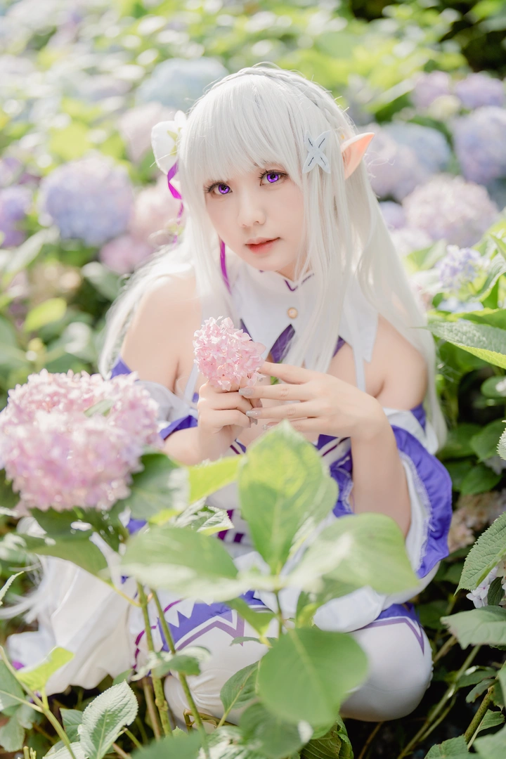 爱蜜莉雅和绣球花