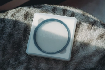 一只灰色的猫躺在白色物体上