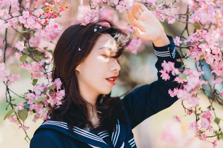 海棠花来了~