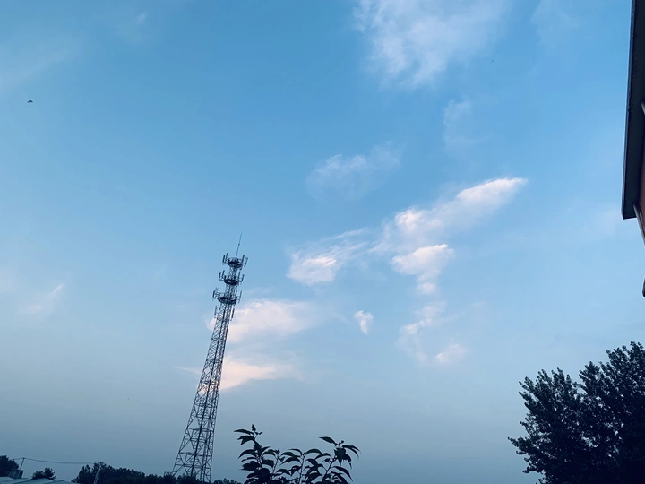 蝙蝠