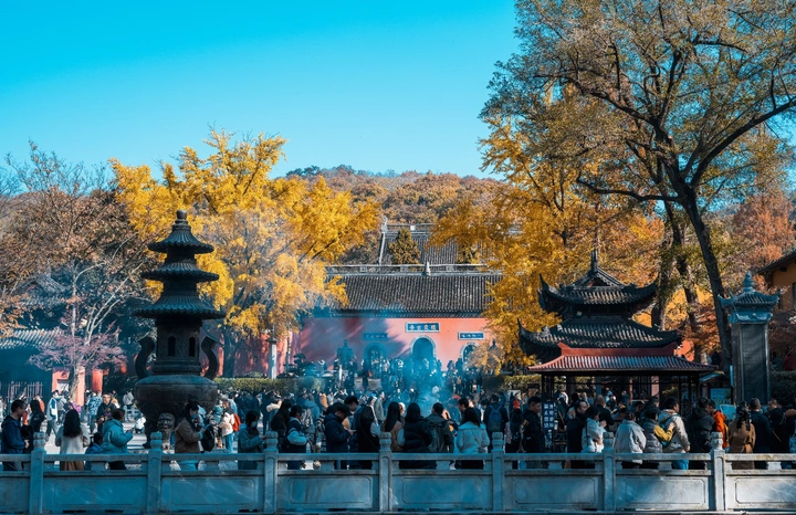 秋栖霞