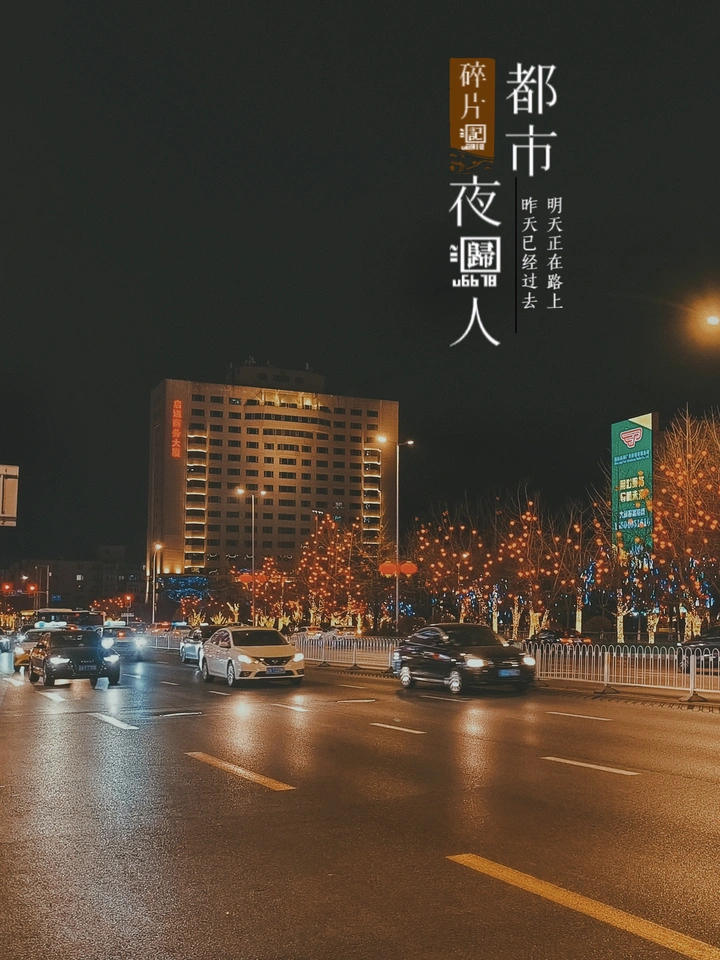 手机摄影(954)夜归人