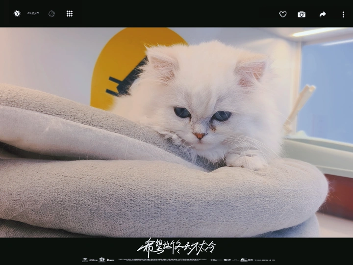 手机摄影（1654）暖冬