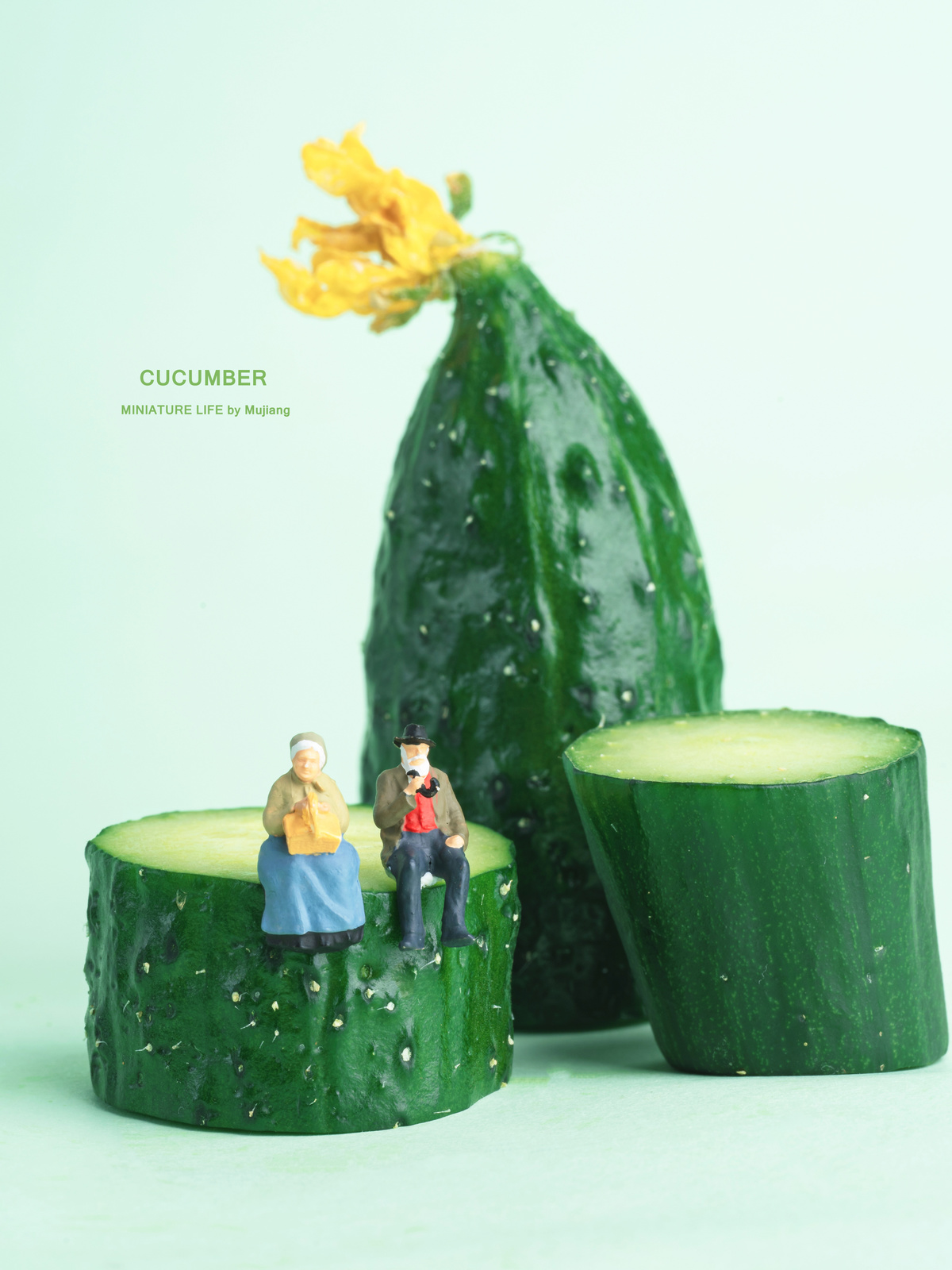 一根绿色的黄瓜 上面坐着几个小个子