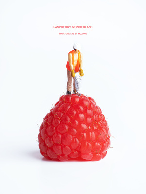 一个小人物坐在覆满覆盆子的草莓上 顶端还有一个更小的人物站立着。