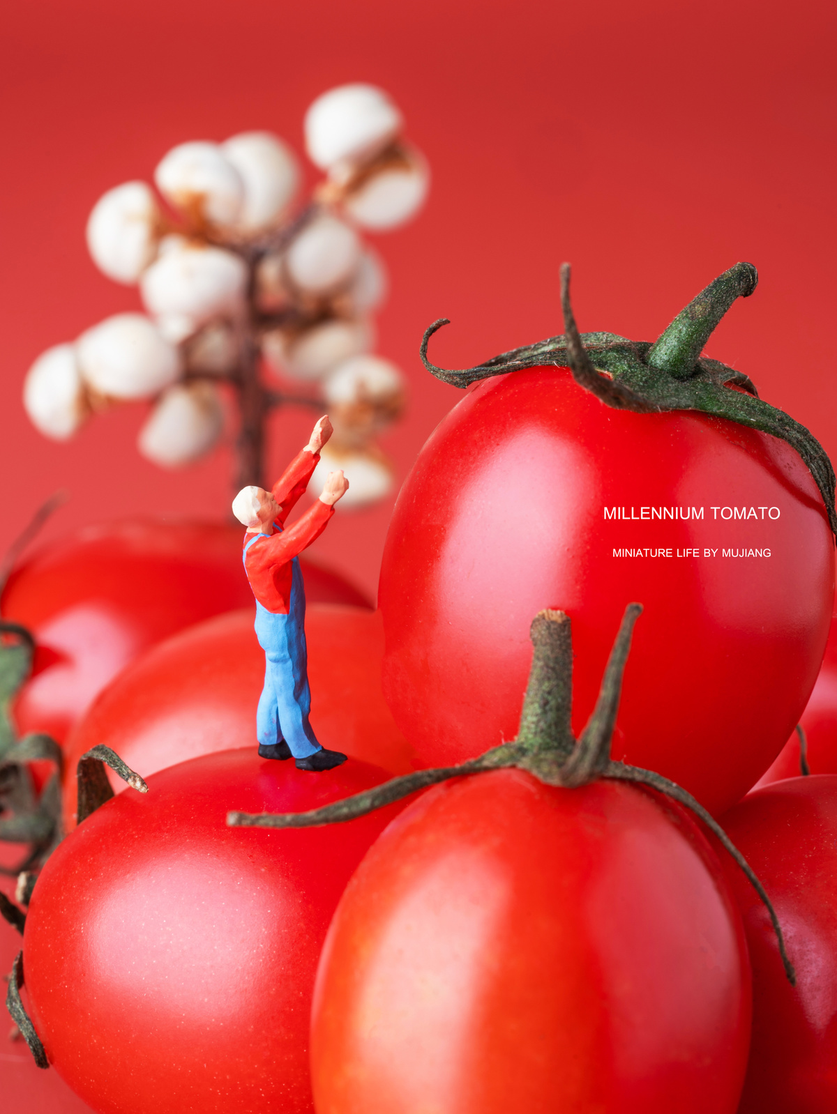 一个人站在一堆红番茄的顶部
