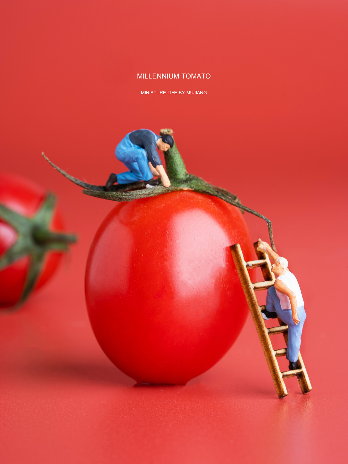 小人儿在红色的背景上爬向大西红柿。