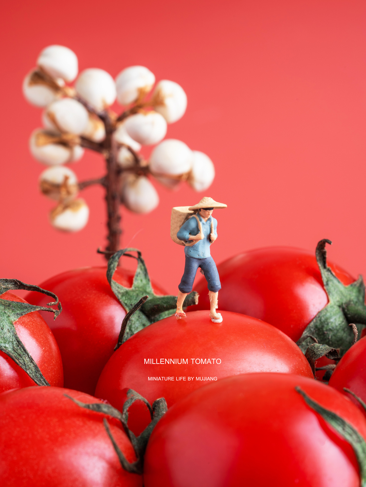 一个农民站在西红柿上的 figurine