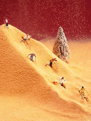 一群人在沙漠中的山顶