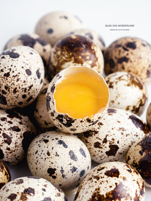 鸡卵带壳的白色背景照片
