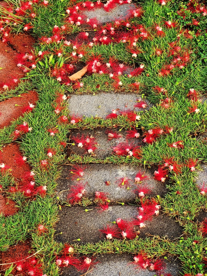 花路