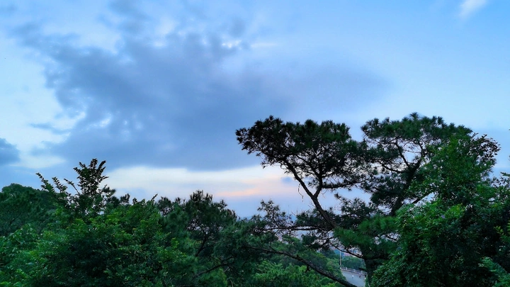 山上风光