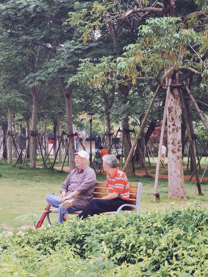 老有所乐