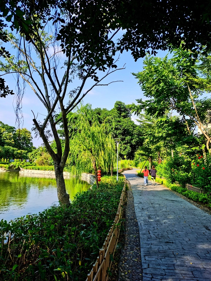 漫步岸边步道
