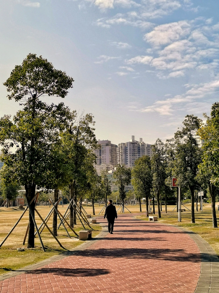 漫步广场树荫步道