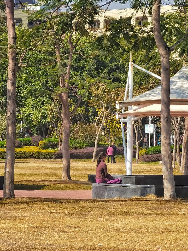 坐享阳光