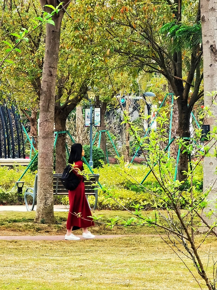 园中漫步