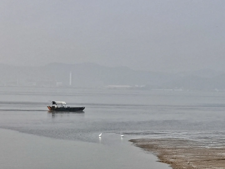 雾中内海湾