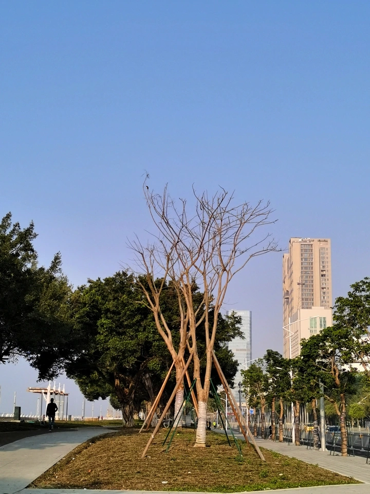 海滨景观