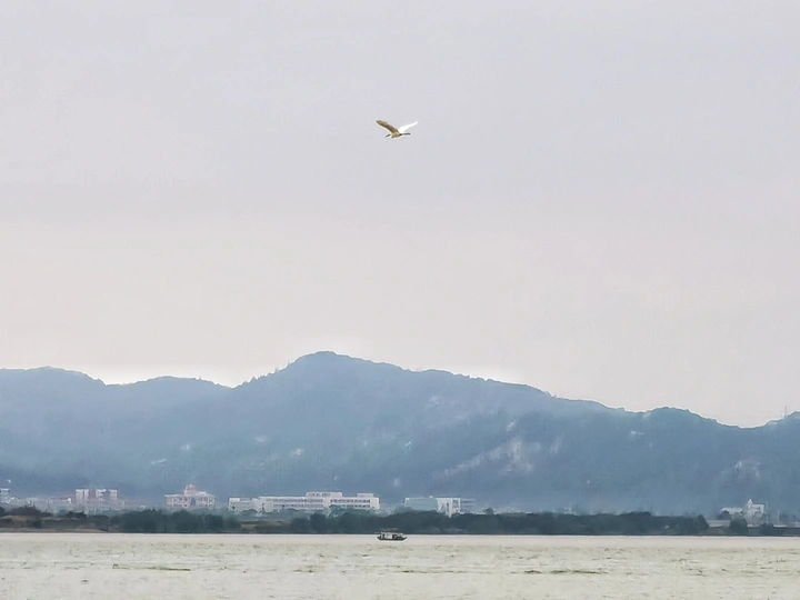 飞得更高