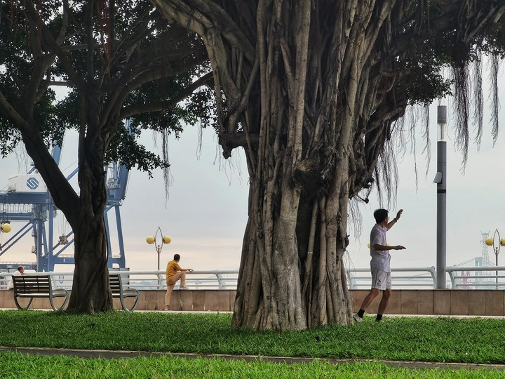 海滨长廊风情