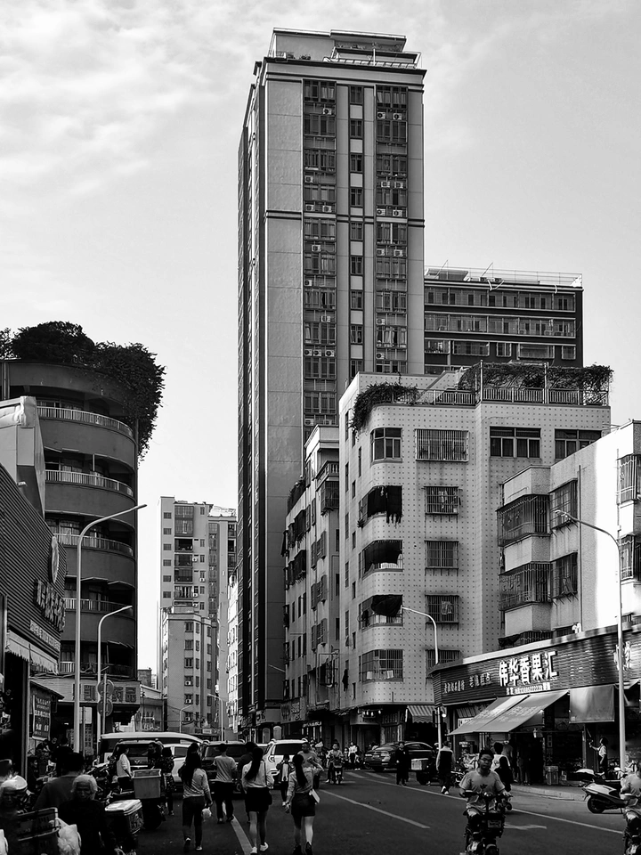 鹤立鸡群