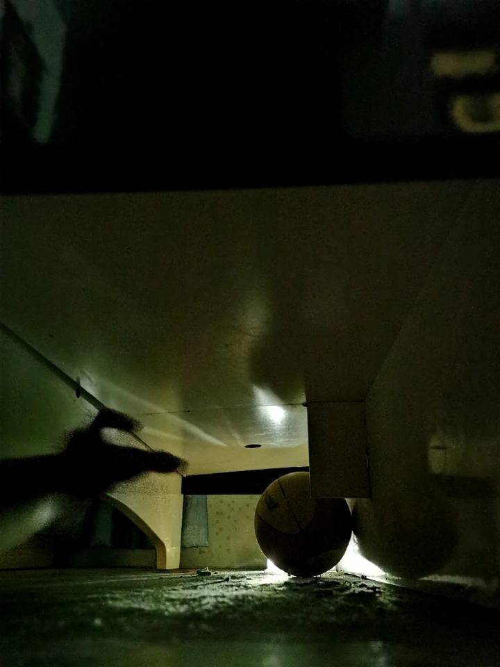 夜