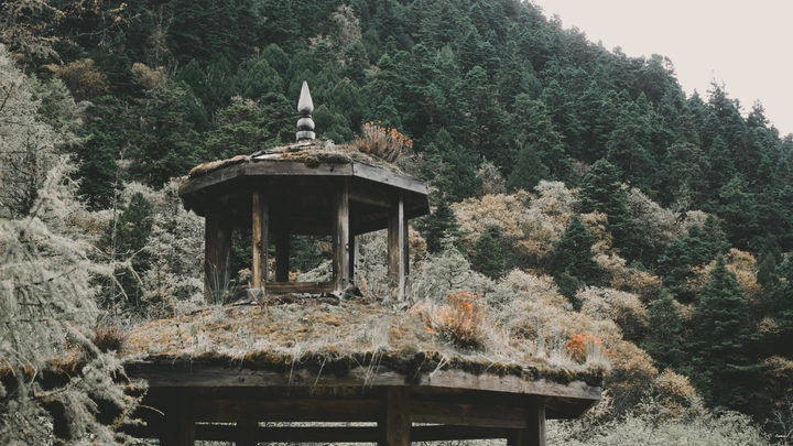 黄龙