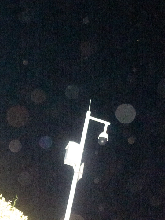 杆上的街灯 背景中有树木和天空