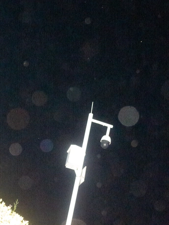 杆上的街灯 背景中有树木和天空