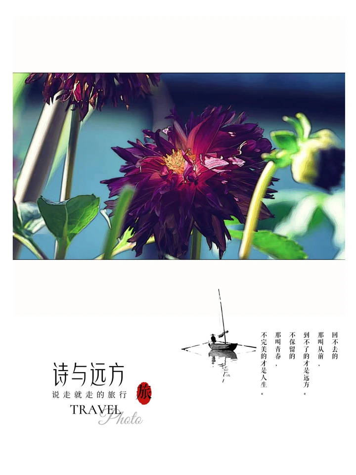 诗和远方