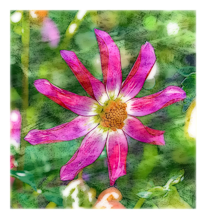 花
