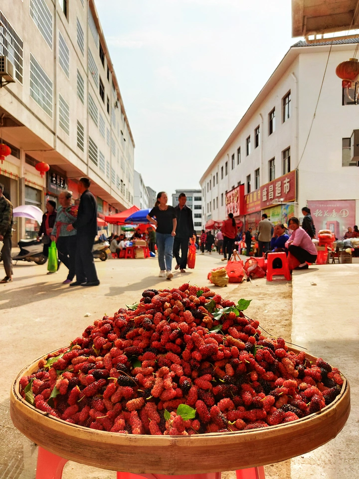 赴圩归来