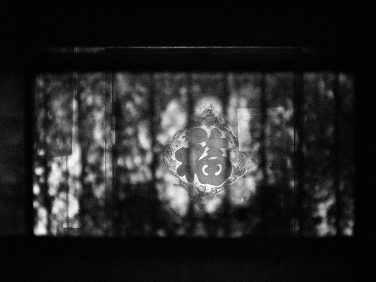 黑暗森林中的一扇窗户 有栅栏和树木的倒影