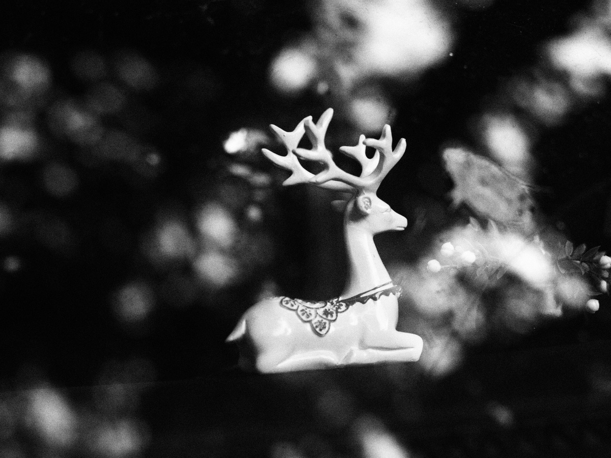 黑白相间的圣诞树上的白鹿