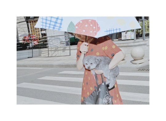 一位穿着连衣裙的女孩拿着雨伞和一只毛绒考拉过马路