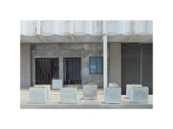 白色混凝土房子前面的混凝土花盆
