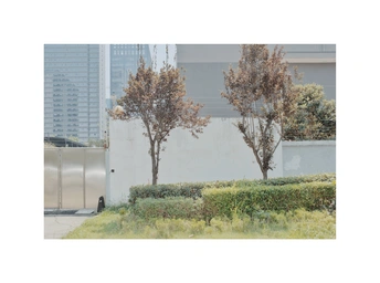 城市中的公园 有草地和树木。