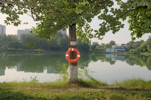湖边有一棵带红圈的树 背景中有一座城市