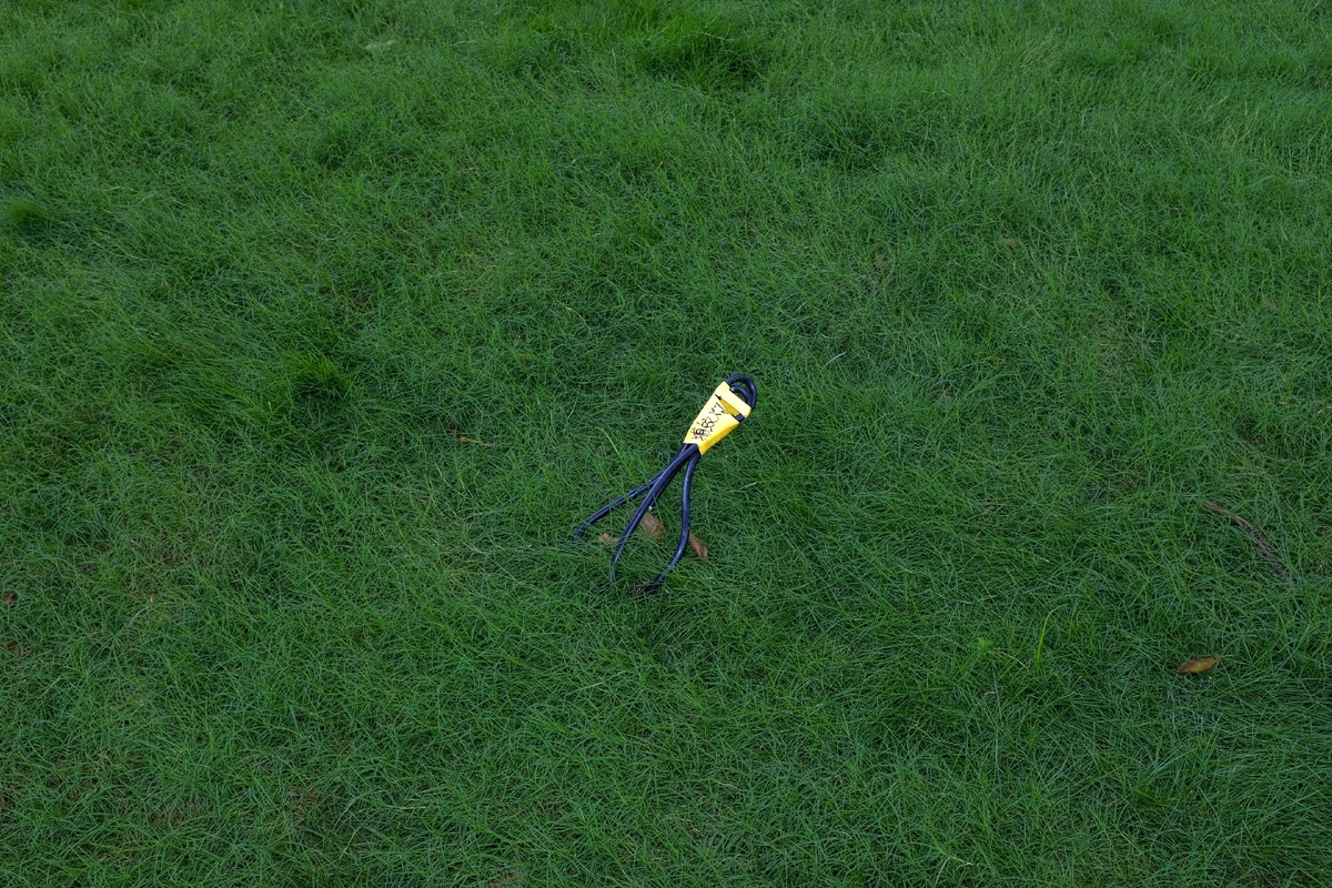 一只像鸟儿停在绿草坪上的风筝