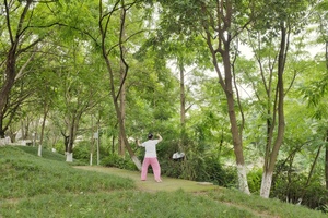 一位穿粉色衣服的女士站在一棵树木和绿叶覆盖的山坡小径上
