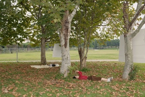 一个人和一个女人躺在草地上 在树下。