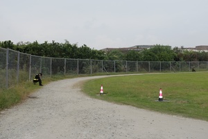 一条通往围栏内的土路 路边长着草 路旁有一个锥形物。