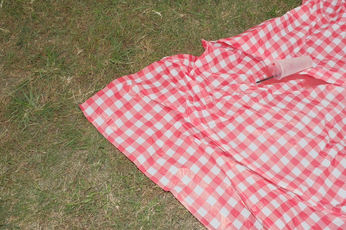 粉红色格子衬衫躺在红色和白色格子布料上 位于绿色草地上