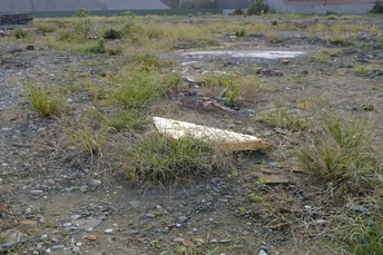 背景有建筑的土地