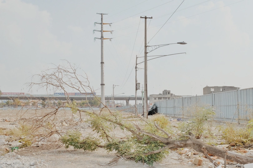 一个人走过一条被垃圾和树木覆盖的街道