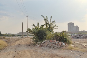 一条城市中的泥土路 路旁有碎屑、树木和其他碎屑。