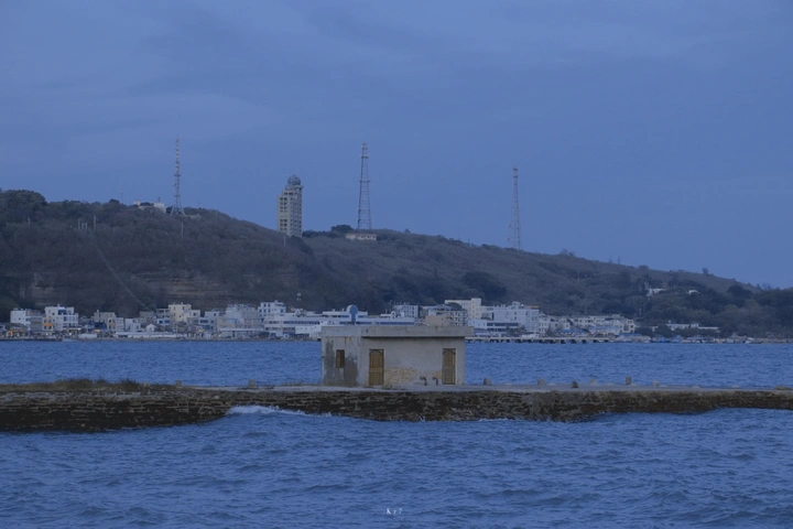 夜空是一片深蓝色的森林